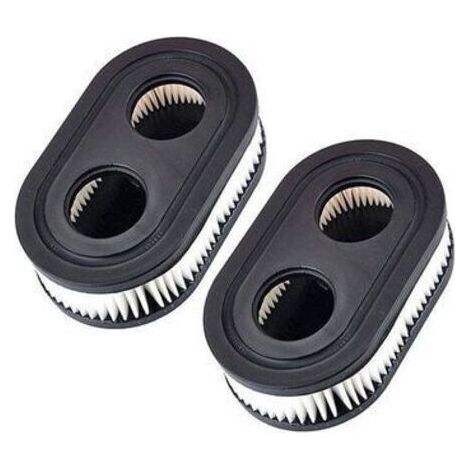 Filtres à air pour Tondeuse pour Briggs & Stratton 798452 593260 5432 5432K,A (1/5)