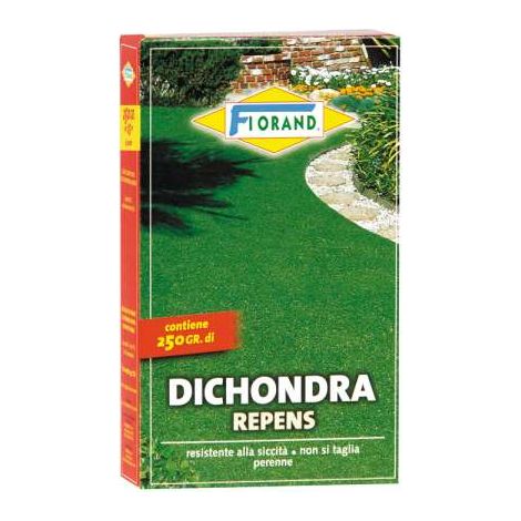 Florand Sementi Prato Dicondra - Resistente Siccità - 250 g (1/3)