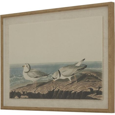 Flora & Fauna Collection Plovers on Linen in Beaded Frame - Glass - L2 x W62 x H45 cm - Brown