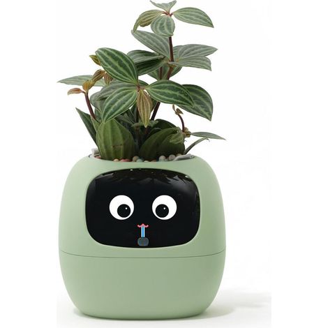 Intelligenter Blumentopf mit automatischer Bewässerung und App-Steuerung für Innenpflanzen (1/5)