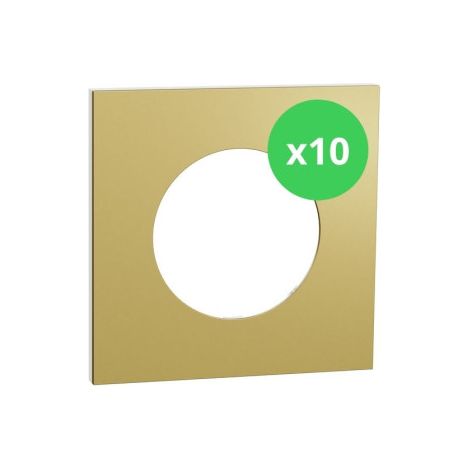 Schneider - Odace Mu00e9tal 2025 - LOT de 10 Plaques de finition 1 poste - Effet Laiton support blanc - Ru00e9f : S911702 x 10 (1/5)
