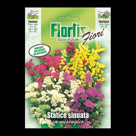 Semi di Statice Sinuata Mix - Bustina Semi di Fiori da Recidere Colori Assortiti