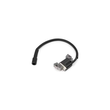 1 magnetisches Zündspulenankermodul 594626 594456 für Motor 592841 595038 594626 595304 799650 795315 (1/4)