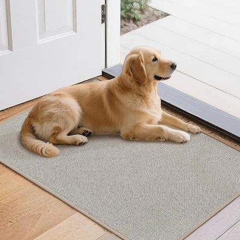 Interior Entrance Mat Thin 43.5 x 75 cm Non-Slip and Washable Absorbent Door Mat for Home Dog Indoor and Outdoor Beige (1/5)