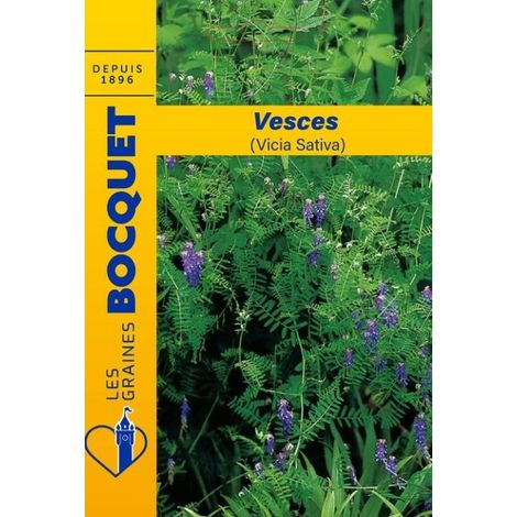 Vesces (Vicia sativa) pour 10m² - 100g