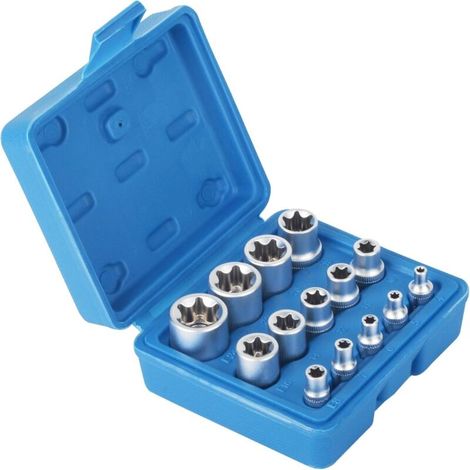 14 pièces Jeu de douilles Torx femelle E Star E4-E24 écrou à douille hexagonale externe (1/4)