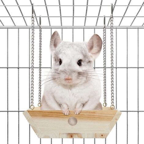Hängematte aus Naturholz für Frettchen, Aufhängesystem für Katzentoiletten, Spielzeug und Zubehör für Holzkäfige, Häuser und Beschäftigungsplattformen für Frettchen, Innengehege für Frettchen (1/5)