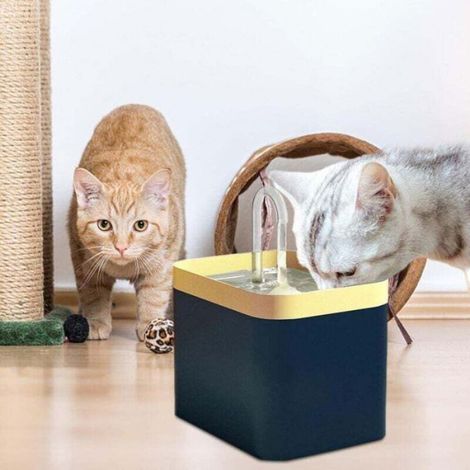 Fontaine À Eau - 1,5 L - Pour Chats Chiens Et Oiseaux - Rechargeable Avec Filtre - Polypropylène (1/5)