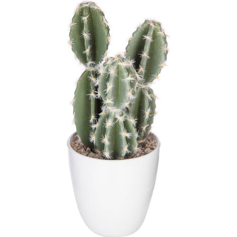 Plante succulente & cactus H18cm - Atmosphera créateur d'intérieur
