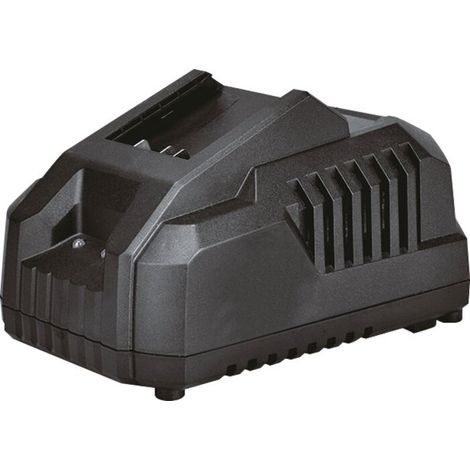 Ladegerät Batterie Ffcl20-04