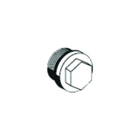 Tappo di ispezione Schell con O-ring