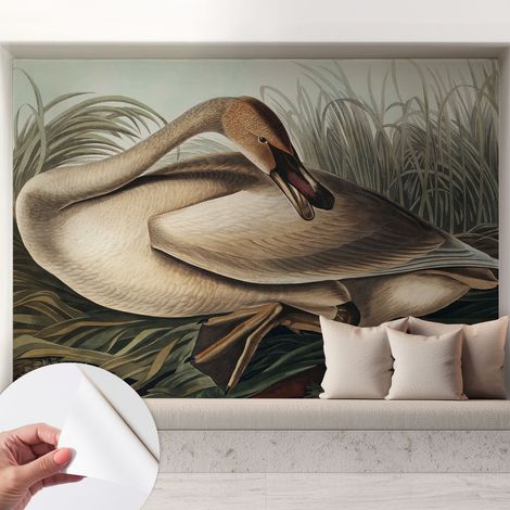 Selbsthaftend Tapete für Wohnzimmer Schlafzimmer Küche - Wanddekoration  Natürlicher Vogel 208x146 cm (1/5)