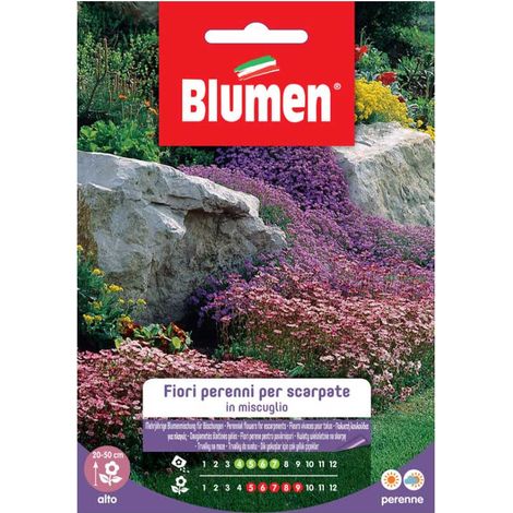 SEMI FIORI PERENNI PER SCARPATE IN MIX BLUMEN