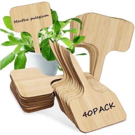 Pair Étiquette Plante Bois - 40 pièces, Étiquette Plante Bois T-Forme Résistante - Pour Jardin/Légume (1/5)