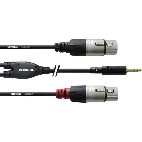 Cordial Audio Cavo adattatore [1x Spina jack da 3.5 mm - 2x Presa XLR] 3.00 m Nero