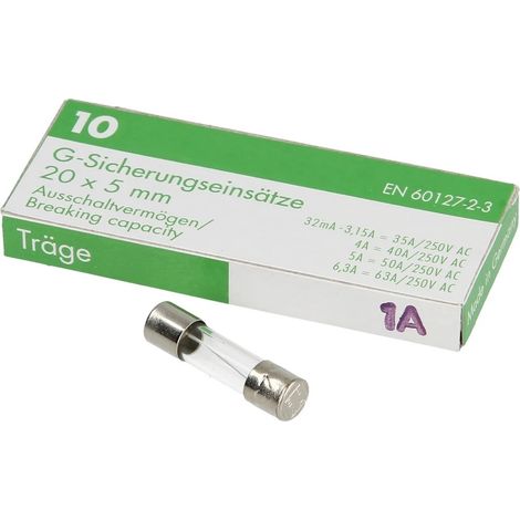 Fusible à action retardée 1A 250V