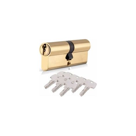 Cylindre de Serrure 40/40 (80mm), HOMEK Serrure à Doublé Cylindre Porte Cylindre Européen avec 8 Clés, Finition en Laiton, Serrure de Porte Antichoc Anti-Perçage Anti-Pique (1/4)