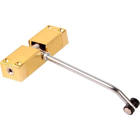 (Or) Ferme-porte automatique en acier inoxydable, dispositif de fermeture à vitesse réglable, capacité de charge 40 kg. (1/5)