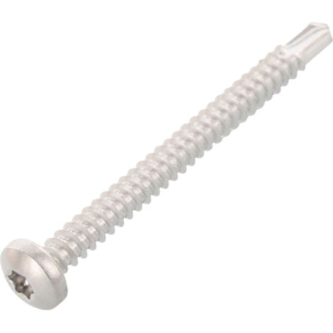 Vis autoperceuse Tête cylindrique TC 5,5X16 TORX T25 Inox AISI 410 - 1 pièce (1/5)