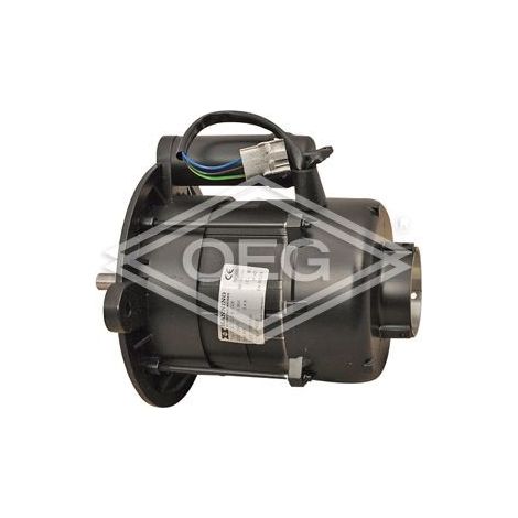 Moteur électrique 450 W