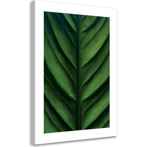 Tableau sur toile Feuilles vertes en macro 60x90 (1/5)