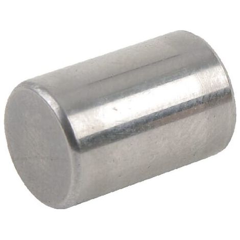 Rodillo tornillo AGRIA AGW50853