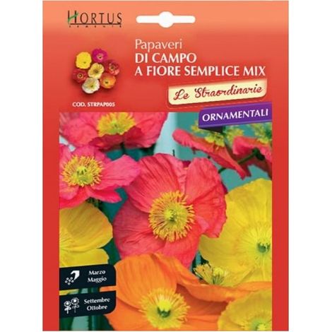 Papaveri di campo a fiore semplice mix colorido