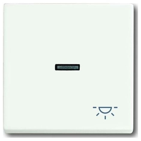 BUSCH-JAEGER 1789LI-884 PLAQUE DE RECOUVREMENT, BOUTON-POUSSOIR, SYMBOLE 'LUMIÈRE' , BLANC STUDIO MAT, FUTURE