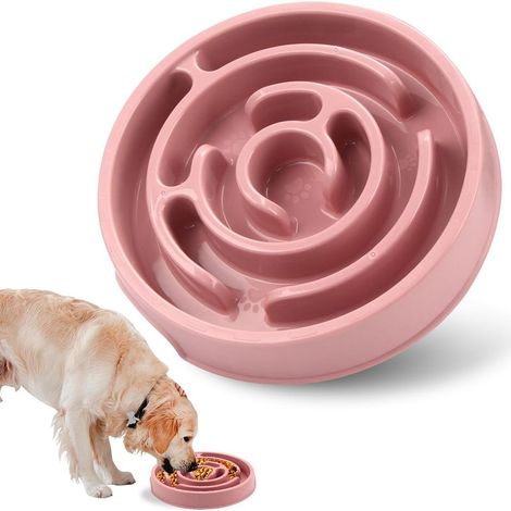Gamelle Anti-Glouton pour Chien Moyen et Chat - Bol Alimentaire Ralentisseur (1/5)