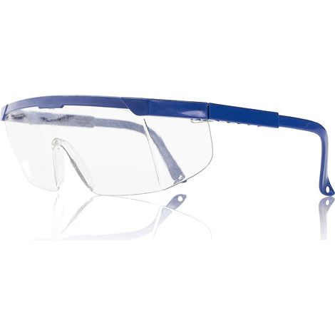 Lunettes de sécurité bleues économiques (1/5)