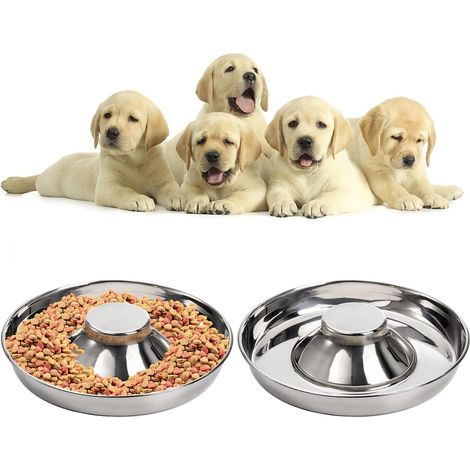 2 ciotole in acciaio inox per cibo e acqua, antiscivolo, adatte a cani, gatti e altri animali domestici di piccola, media e grande taglia. (1/3)