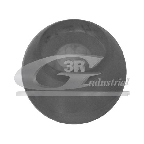 3RG 24719 CASQUILLO PALANCA