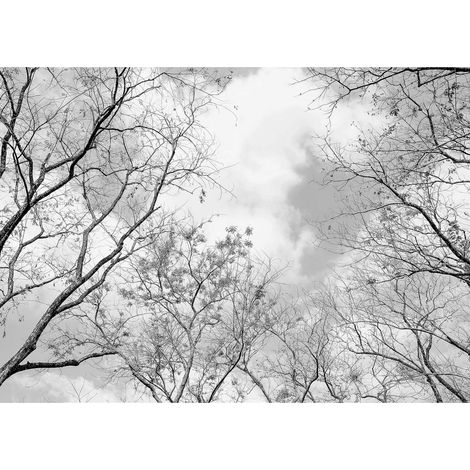 Tableau hiver gris noir et blanc | Tableau couloir cime des arbres | Tableau sur toile noir & blanc pour bureau et salon - 0,7 x 0,5 m (1/2)