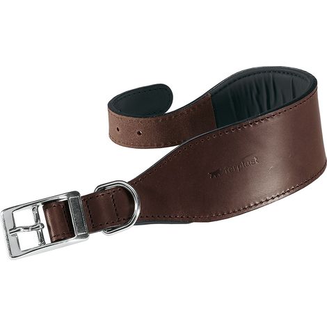 Ferplast VIP CW Collare in cuoio di toro per cani Levriero - 3 misure. Variante CW15/32 - Misure: A: 26-32 cm B: 15 mm - Marrone (1/5)