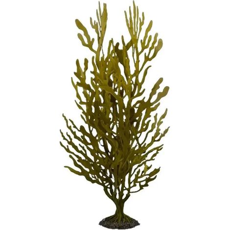 Acuario aqua-della kelp bush sin mantenimiento diseño realista 50 cm