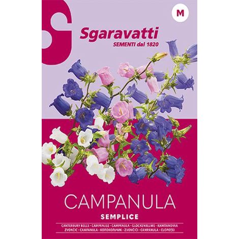 Semi per Prato Universale Campanula Semplice Sgaravatti 20 Pezzi (1/2)