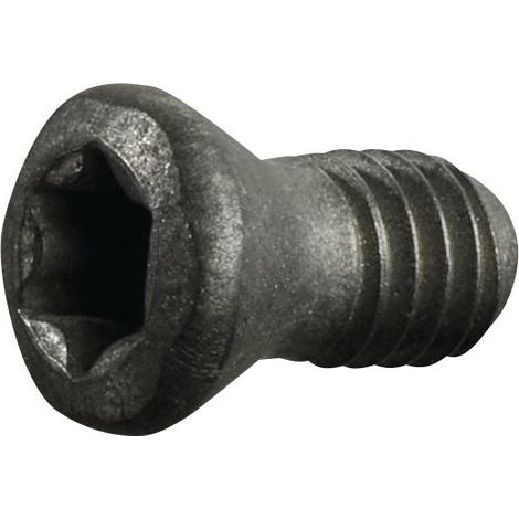 Vis de serrage taille T7 pour taille du panneau RDHX 0702 adapté à fraise à plaquettes rondes