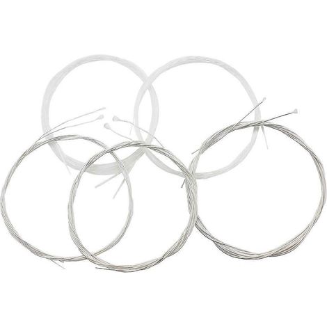 Lot de 5 cordes de oud professionnelles en nylon blanc, accessoires pour instruments à cordes en alliage de cuivre argenté-White (1/3)
