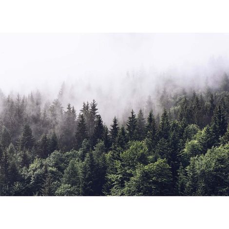 Tableau hiver forêt de sapin | Tableau paysage vert arbres dans brouillard pour déco salon | Tableau sur toile pour chambre adulte 0,7 x 0,5 m (1/2)