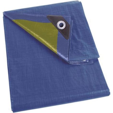 Perel Tax, Heavy Duty, 32 occhielli, angoli rinforzati, rettangolare, blu/verde, 110 g/m², 6 x 10 m