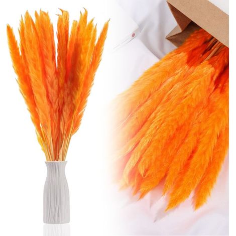 Herbe De La Pampa Séchée - 30 Tiges Naturelles - Décoration Intérieure Et Événements - Longueur 44 Cm - Boîte Incluse (1/5)