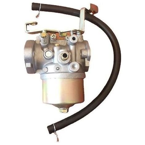Alovez - Carburateur Nouveau carburateur pour Mikuni Carb Rgx5500 Robin Subaru Ey40 moteurs 224-62342-10 (1/5)