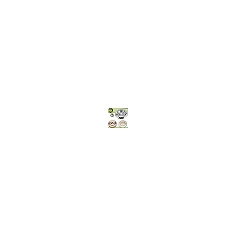 4 Pièces Kit Fixation écrou Lame Boîte, Boîte de Vitesses en Métal pour Tondeuse à Gazon, Accessoires de Boîte de Vitesses en Métal pour Tondeuse, pour Tondeuse à Gazon, Machine D'irrigation (1/5)