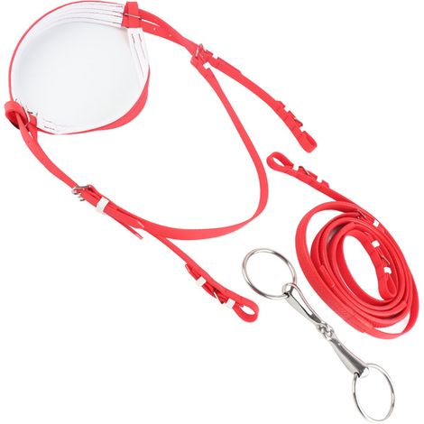 Bride réglable en PVC pour cheval, harnais, têtière, mors creux amovible en acier inoxydable (1/5)