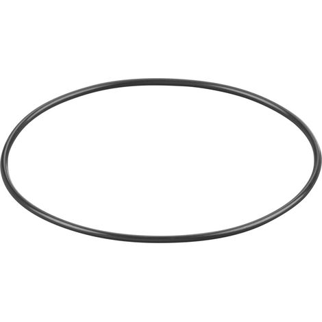Rems O-Ring 060325