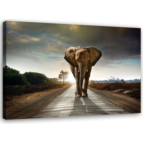 Tableau décoratif Eléphant sur la route Afrique Nature 60x40 (1/5)