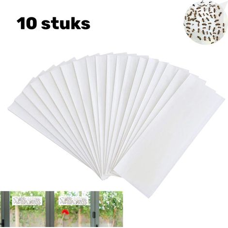 Lot de 10 autocollants transparents pour fenêtres - Pièges à mouches des fruits - Attrape-mouches d'intérieur - Autocollants pour fenêtres - Attrape-mouches d'intérieur (1/5)