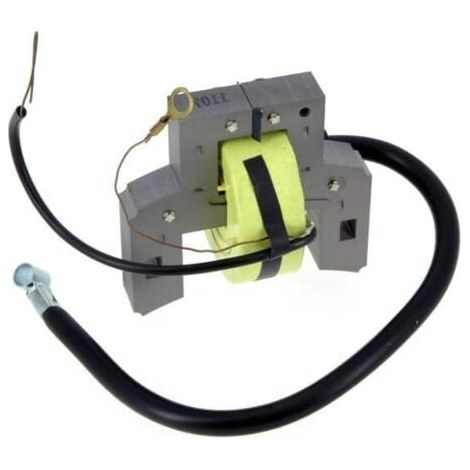 Bobine d'allumage BRIGGS ET STRATTON 298316 - 395490 - 697037 (1/5)