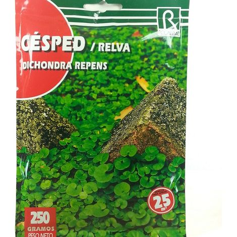 Rokalba C Spedendra Repens Commit