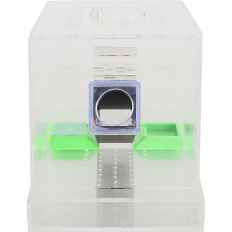Stylo de gardien de cricket d'alimentation en acrylique avec Tubes, Kit de soins contre les insectes et les cafards, boîtes de réservoir pour reptiles (1/5)